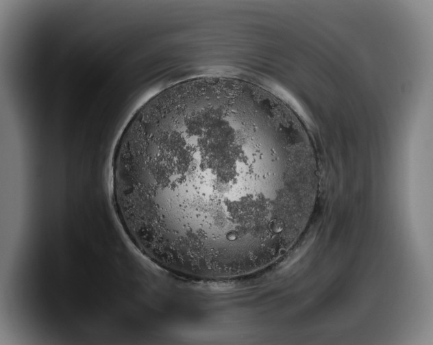 X0000099931095200805301153