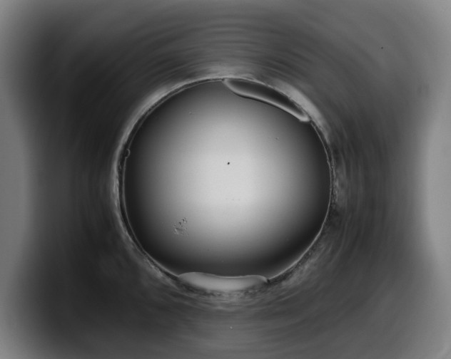 X0000099931096200805301153