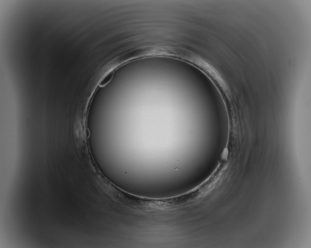 X0000099931097200805301153