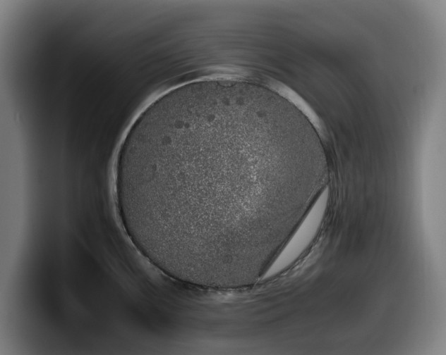 X0000099931099200805301153