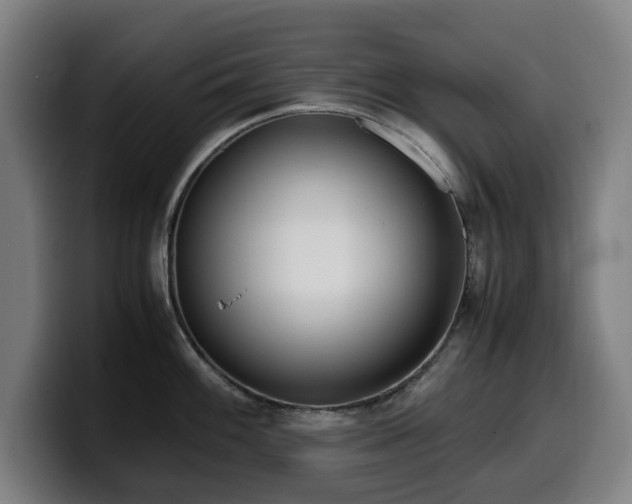 X0000099931100200805301153