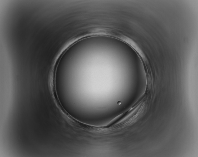 X0000099931101200805301153