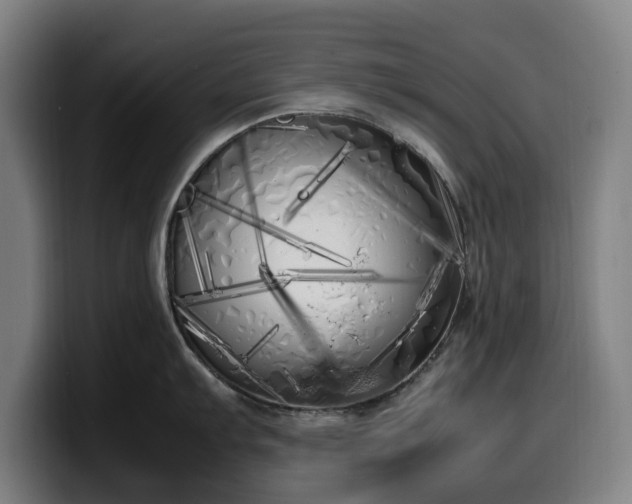 X0000099931103200805301153