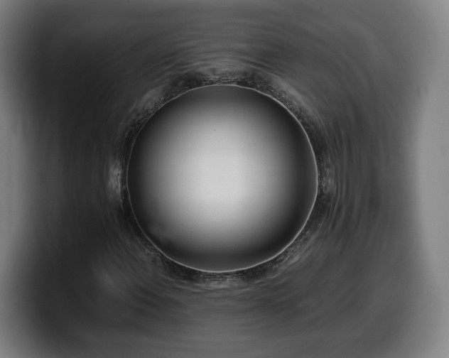 X0000099931108200805301153