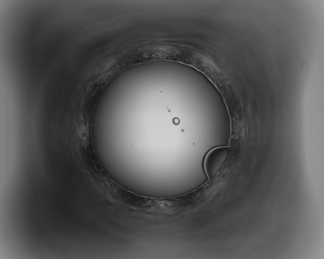 X0000099931109200805301153