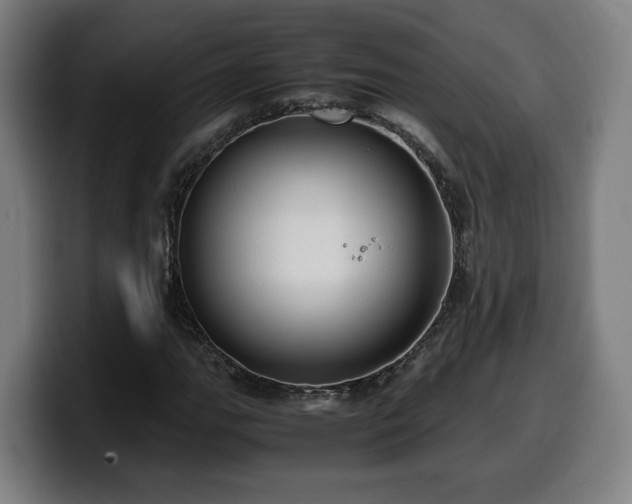 X0000099931111200805301153