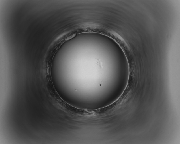 X0000099931112200805301153