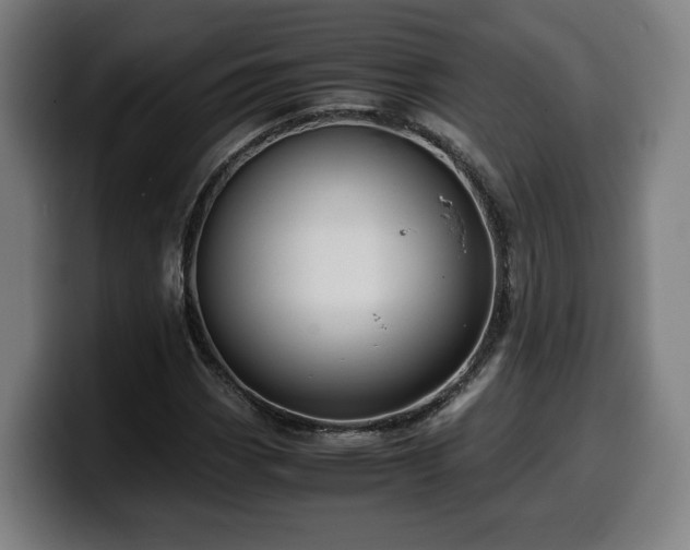 X0000099931113200805301153