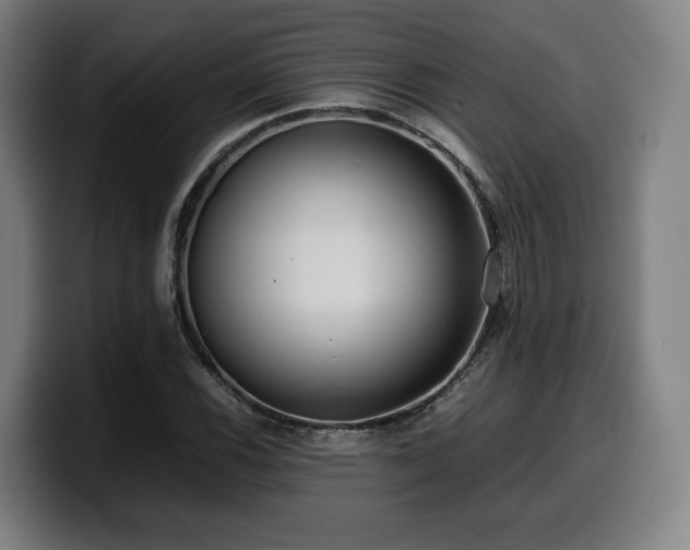 X0000099931116200805301153