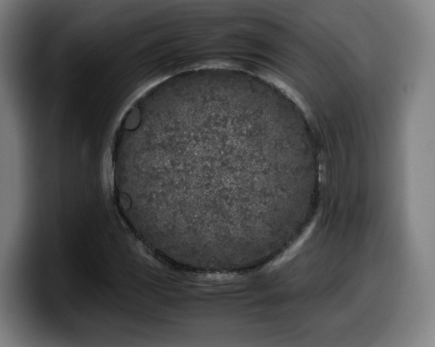 X0000099931117200805301153