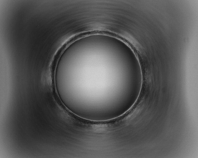 X0000099931118200805301153