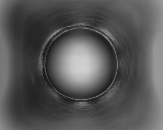 X0000099931119200805301153