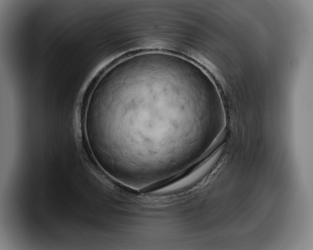 X0000099931120200805301153