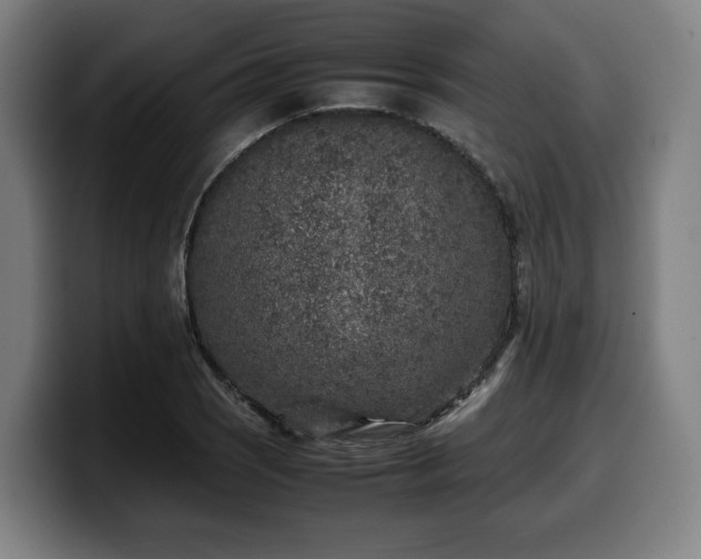 X0000099931121200805301153