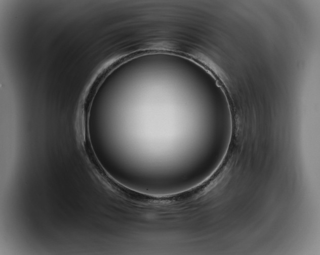 X0000099931123200805301153