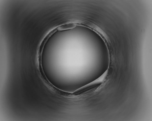 X0000099931124200805301153