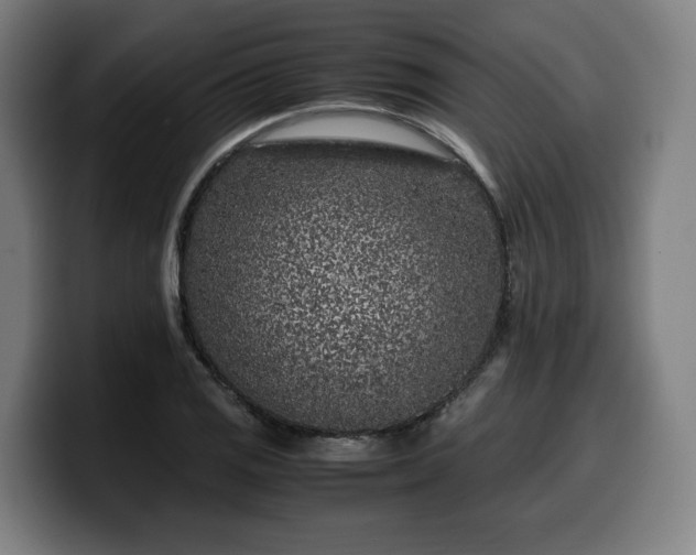 X0000099931125200805301153