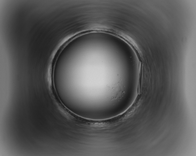 X0000099931128200805301153