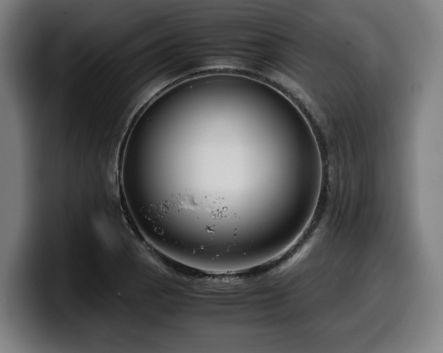 X0000099931129200805301153