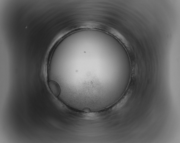 X0000099931130200805301153