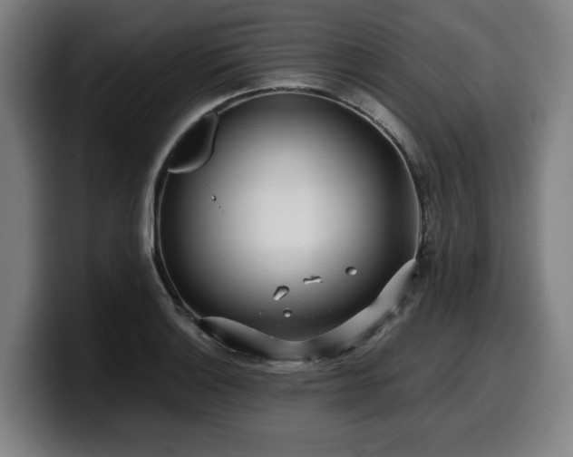 X0000099931132200805301153