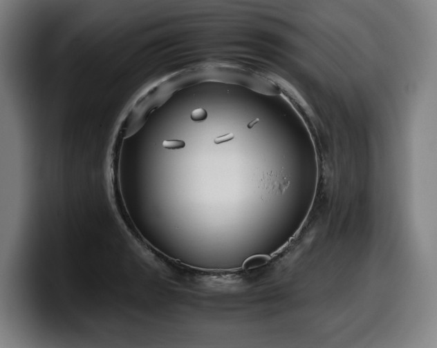 X0000099931133200805301153