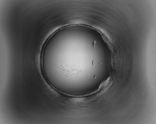 X0000099931134200805301153