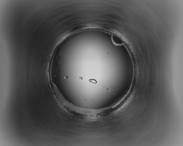 X0000099931137200805301153