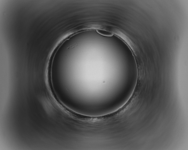 X0000099931139200805301153