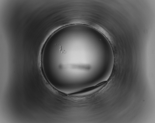 X0000099931140200805301153