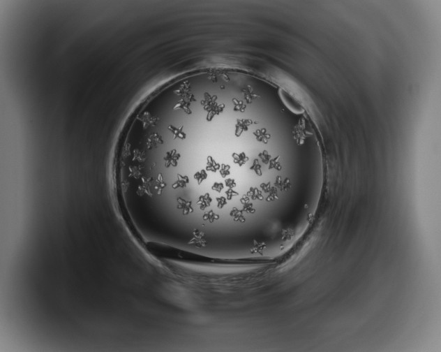 X0000099931141200805301153