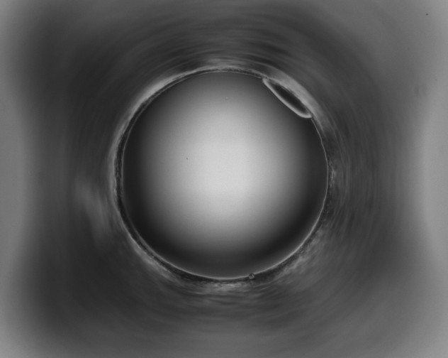 X0000099931143200805301153