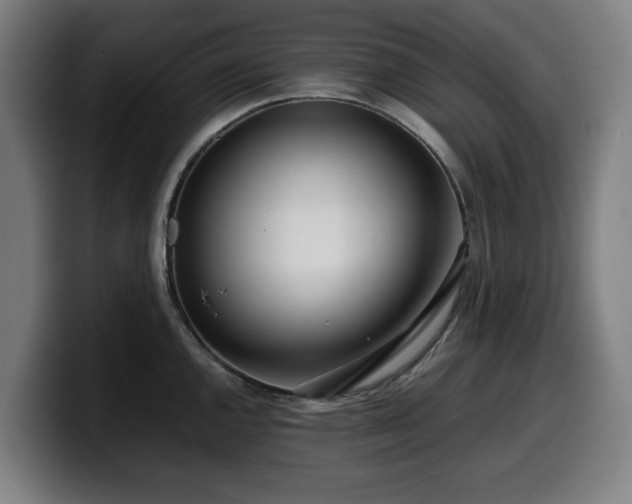 X0000099931144200805301153