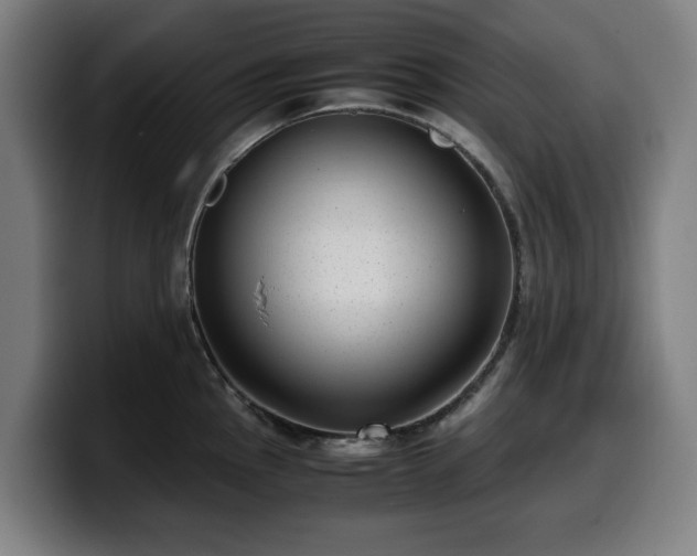 X0000099931145200805301153