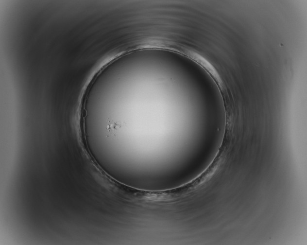 X0000099931146200805301153