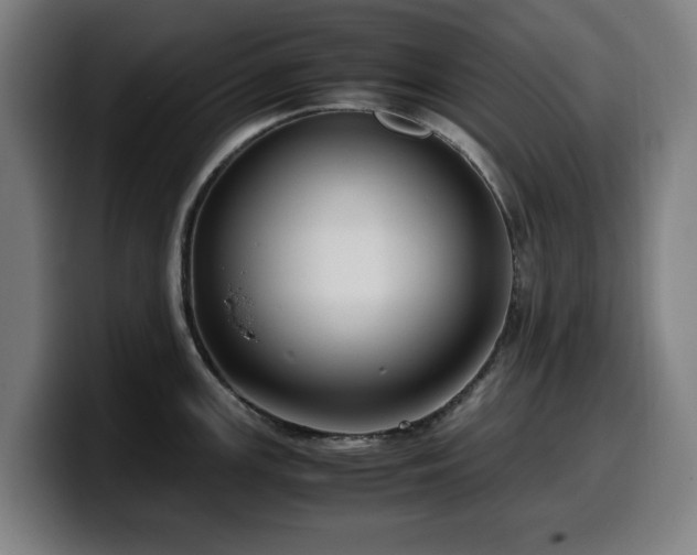 X0000099931147200805301153