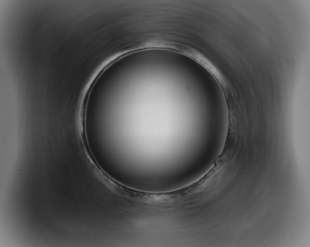 X0000099931148200805301153