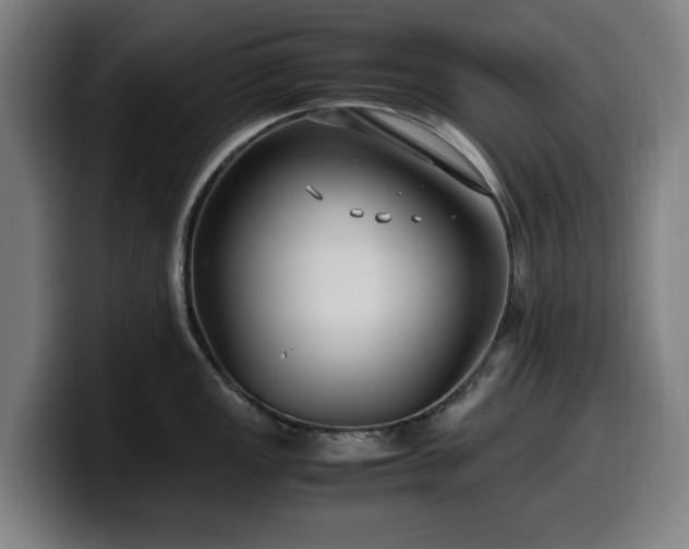 X0000099931149200805301153