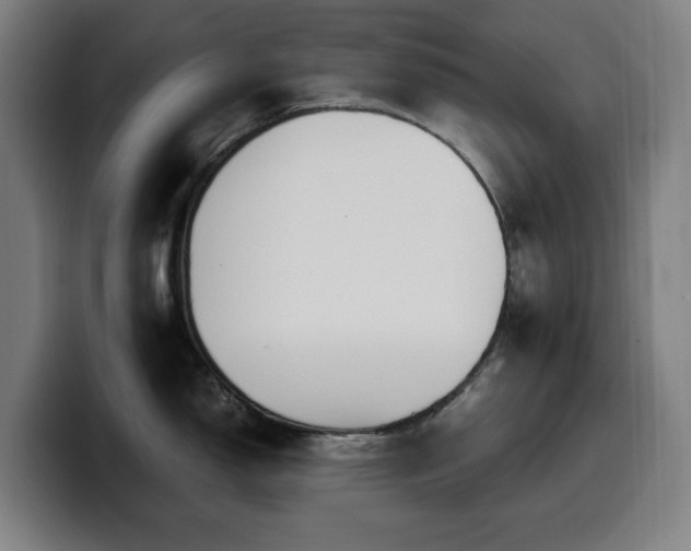 X0000099931150200805301153