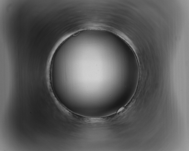 X0000099931152200805301153