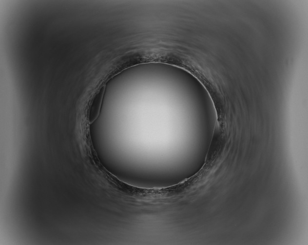 X0000099931153200805301152