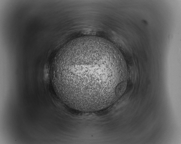 X0000099931154200805301152