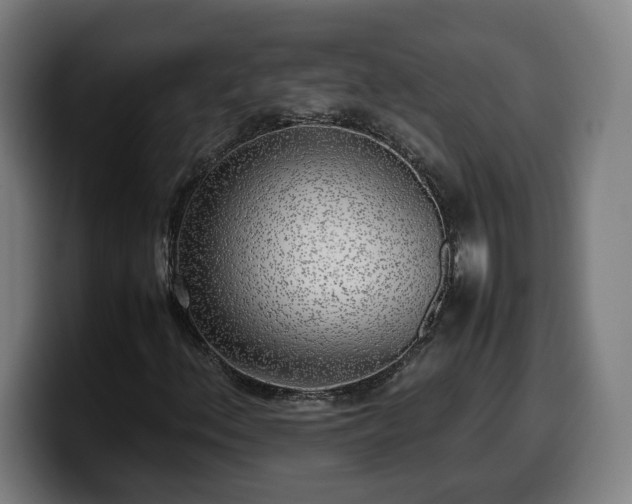 X0000099931156200805301152