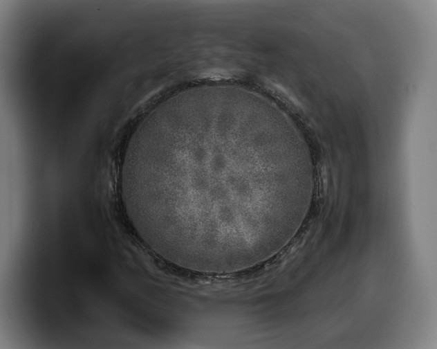 X0000099931158200805301152