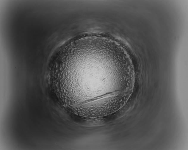 X0000099931159200805301152