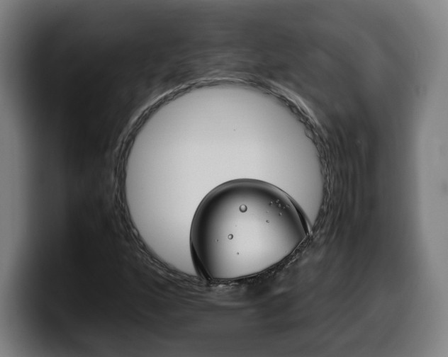 X0000099931160200805301152