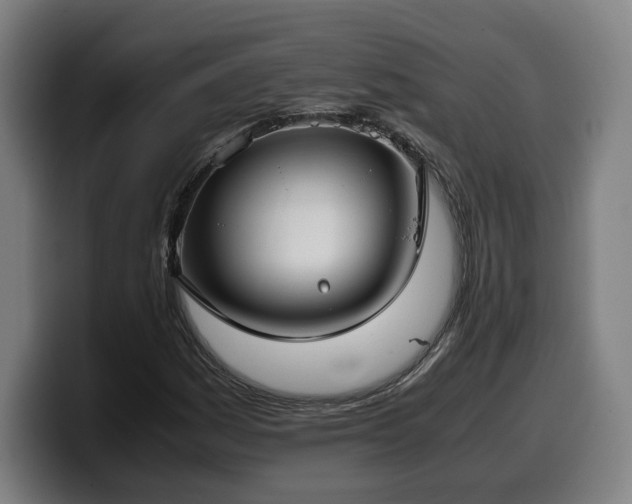 X0000099931161200805301152