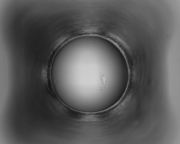 X0000099931162200805301152