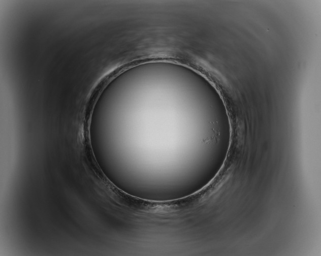 X0000099931166200805301152