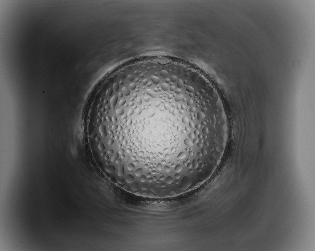 X0000099931167200805301152